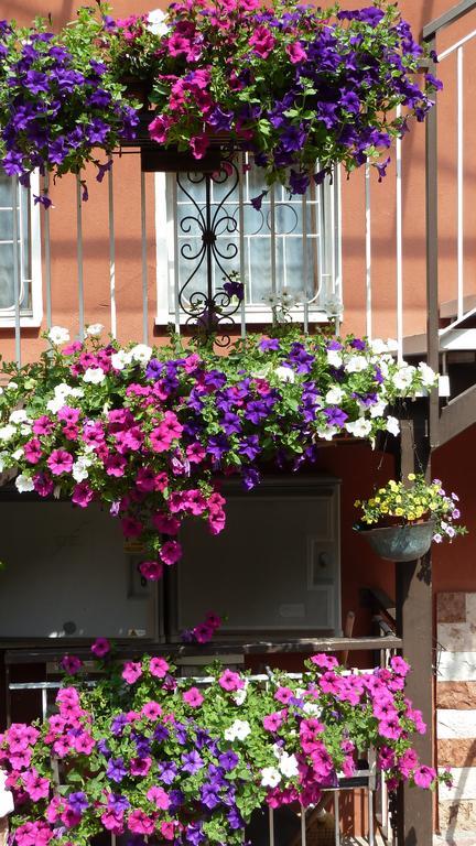 Hotel Baitone - Nature Village Malcesine Exterior photo